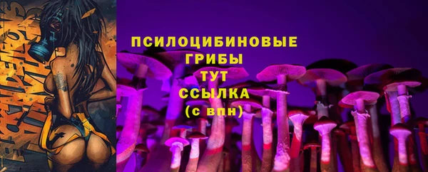 меф Инта