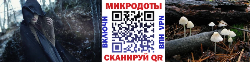Купить  Калтан  Псилоцибиновые грибы Magic Shrooms 